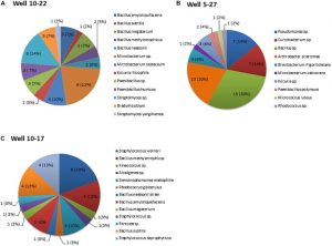 Isolation and Characterization of Biosurfactant-Producing Bacteria From Oil Well Batteries With Antimicrobial Activities Against Food-Borne and Plant Pathogens.